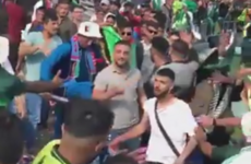Police make arrests and investigate footage of fans fighting at Cricket World Cup