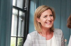 Pressure mounts on Taoiseach to publish internal report into Maria Bailey swing fall case
