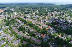 Mystery surrounds Dutch postman's burial of thousands of letters in forest