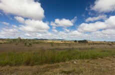 Children take stolen car on 1,000km road trip across Australian outback before being caught