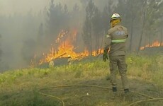 'Something strange is going on': 1,300 firefighters battle blazes in Portugal
