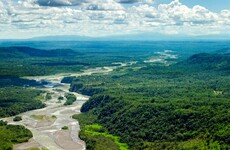Rare footage shows uncontacted Amazon tribe who activists say are threatened by loggers