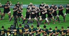 Last-gasp try earns Springboks dramatic draw against All Blacks in Wellington