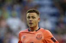 Ireland international James McCarthy completes Crystal Palace move