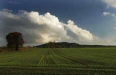 Ireland's climate change policies "not sufficient" to reach targets