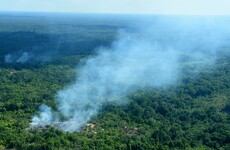 UN calls for protection of Amazon as Bolsonaro claims 'environmental psychosis' hampers Brazil