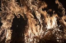 Over 1,500 new fires ignited in Amazon rainforest, official data shows