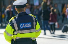 Garda injured after suspect flees scene on M50 and arrested following pursuit