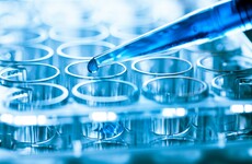 No single 'gay gene' exists, says scientists