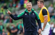 'It's a nice label to get,' says Schmidt as Ireland summit World Rugby rankings