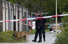 Dutch defence lawyer representing state witness in huge gangland case shot dead in broad daylight