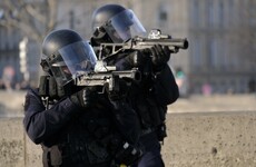 Dozens of yellow vest protesters arrested in Paris