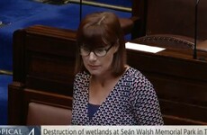 Investigation into whether frogs, eels and bats were buried alive by silt spread on Tallaght wetlands