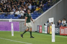 South African lock faces legal action over alleged abuse of homeless man before World Cup