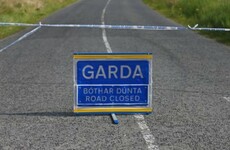 Man (20s) dies in Kilkenny road crash overnight