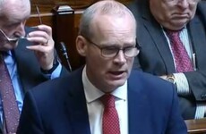 'I wasn't aware of it': Tánaiste denies knowing protection money was being paid to criminals on construction sites