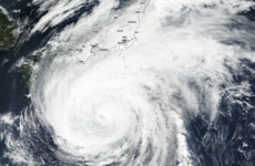 Typhoon Hagibis: Japan's wettest storm in decades makes landfall