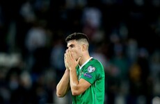 Ireland's man of the match says they 'dug deep' to earn point