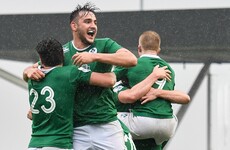 Rich rewards were hard-earned as 2016 crop lit the way for Ireland against NZ