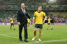 'No relationship with the CEO,' says Michael Cheika as he steps down as Wallaby coach