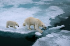 Got a question about climate change? Share it here and we'll put it to the experts
