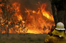 State of emergency declared in Sydney over threat of 'catastrophic' bushfires