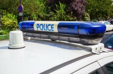 Pregnant woman killed by dogs during hunt in French forest
