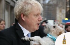 Common sense, a JCB and a punch that never happened - Key moments of the UK election campaign