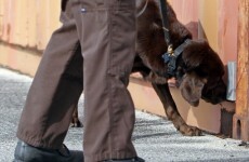 'Unconstitutional' search warrant process addressed but retrials, quashed convictions still possible