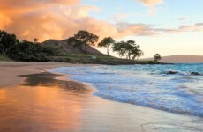 Paradis Lost? Who gets the island in the Johnny Depp split?