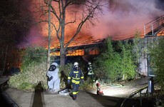 Scores of animals killed in fire at German zoo
