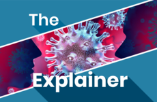 The Explainer: How worried should we be about the coronavirus in Ireland?