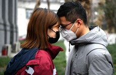 WHO says number of cases of deadly coronavirus 'stabilising'