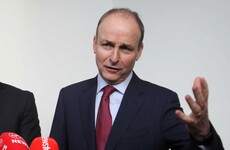 Fianna Fáil senator says it's time for Micheál Martin to stand down as leader