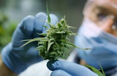 Single dose of psychoactive component in cannabis could induce depressive and anxiety symptoms, study finds
