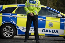Boy (8) dies after being attacked by dogs in Tallaght yesterday