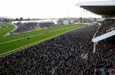 Cheltenham organisers defend festival, which went ahead normally thanks to government advice