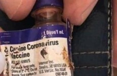 Debunked: No, there wasn't a vaccine for Covid-19 back in 2001