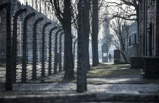 Renovation works at Auschwitz unearth hidden tools that may have been used to 'prepare an escape'