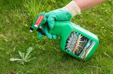Bayer agrees to pay $10.9bn to settle Roundup weedkiller claims