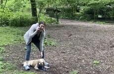 Woman who called police on black bird watcher in Central Park to be prosecuted