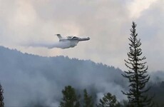 Siberian temperatures reach 38 degrees with forests going up in flames