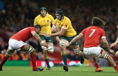 Declan Kidney adds another experienced Wallaby to his London Irish squad