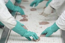 Meat plant workers have a choice between going to work with Covid symptoms or not getting paid, Dáil told