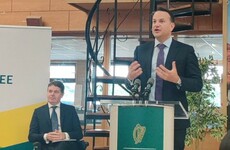 Tánaiste says no date agreed for 'wet pubs' reopening, but new roadmap will provide certainty to the public