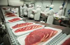 Varadkar: 'If public health teams recommend that a meat plant should close, it should close. Full stop'