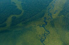 Brazil rejects concerns that EU-Mercosur trade deal could increase Amazon deforestation