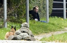 Danish man jailed for murdering journalist on submarine arrested after attempted prison break