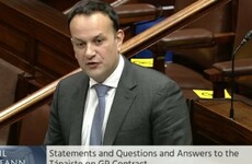 Leo Varadkar apologises for 'errors of judgement', says he is 'not close friends' with Dr Ó Tuathail