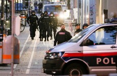 Austria admits security failings leading up to deadly Vienna shooting rampage
